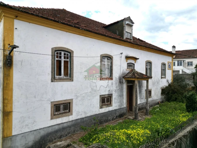 Quinta T10 para Venda em Cernache do Bonjardim, Nesperal e Palhais Foto 3