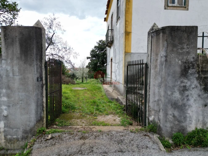 Quinta T10 para Venda em Cernache do Bonjardim, Nesperal e Palhais Foto 7