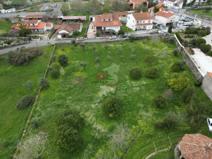 Quinta T10 para Venda em Cernache do Bonjardim, Nesperal e Palhais Foto 5