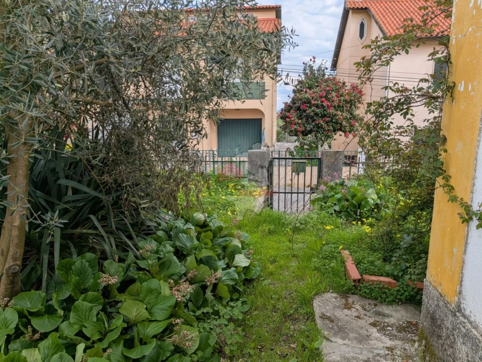 Quinta T10 para Venda em Cernache do Bonjardim, Nesperal e Palhais Foto 44