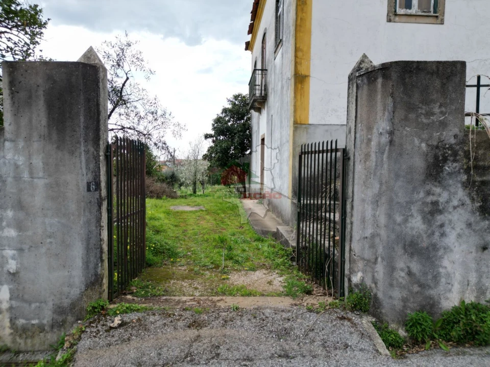 Quinta T10 para Venda em Cernache do Bonjardim, Nesperal e Palhais Foto 7