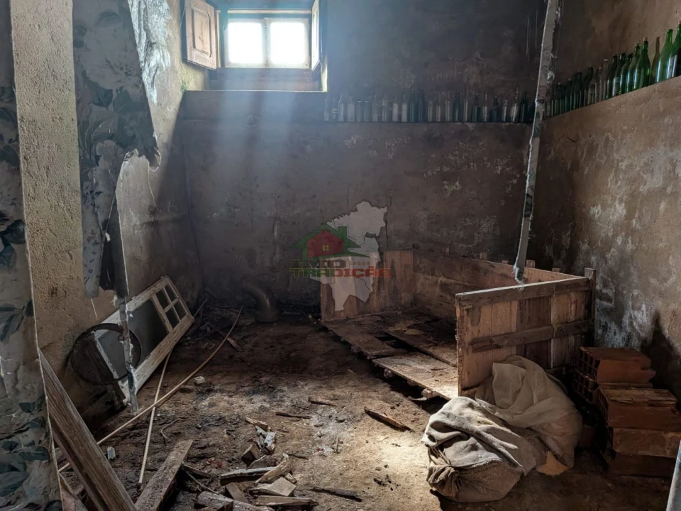 Quinta T10 para Venda em Cernache do Bonjardim, Nesperal e Palhais Foto 11