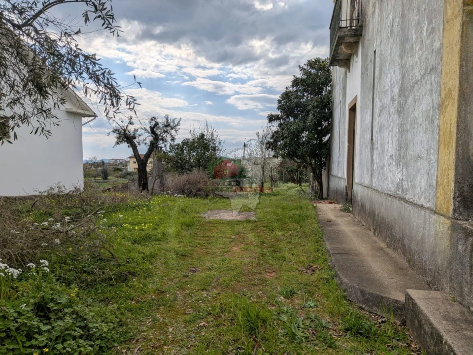 Quinta T10 para Venda em Cernache do Bonjardim, Nesperal e Palhais Foto 59