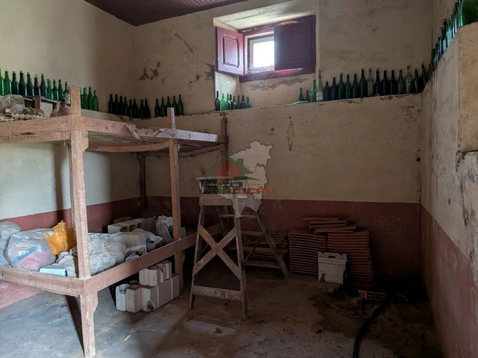 Quinta T10 para Venda em Cernache do Bonjardim, Nesperal e Palhais Foto 13