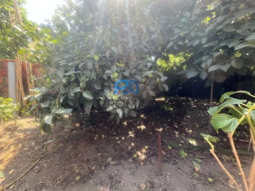 Moradia T5 para Venda em Ramalde