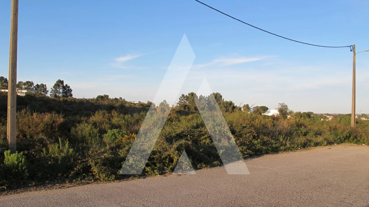 Terreno para Venda em Fernao Ferro Foto 3