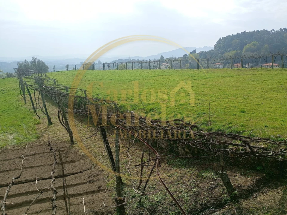 Quinta T7 para Venda em Ribeira do Neiva Foto 12