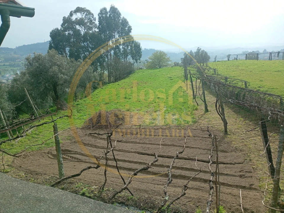 Quinta T7 para Venda em Ribeira do Neiva Foto 13