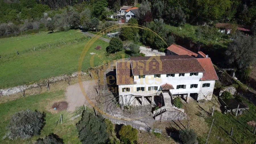 Quinta T7 para Venda em Ribeira do Neiva Foto 1