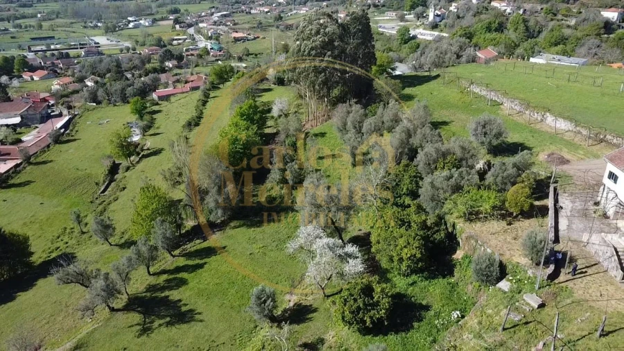 Quinta T7 para Venda em Ribeira do Neiva Foto 20