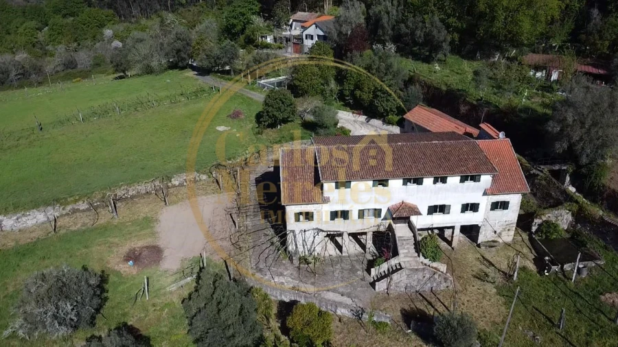 Quinta T7 para Venda em Ribeira do Neiva