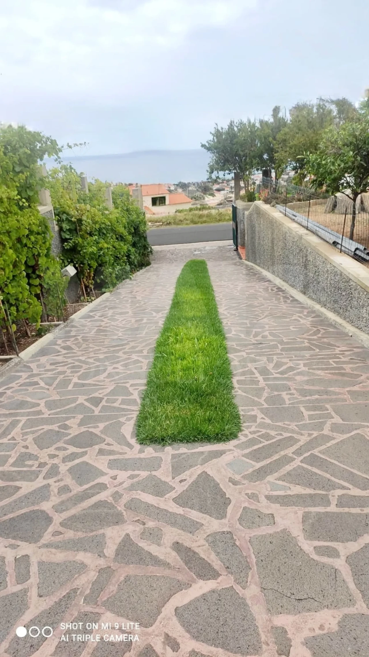 Moradia T3 para Venda em Porto Santo Foto 10