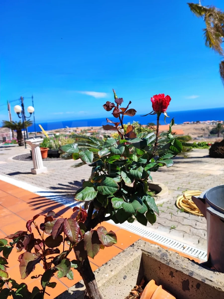 Moradia T3 para Venda em Porto Santo Foto 11