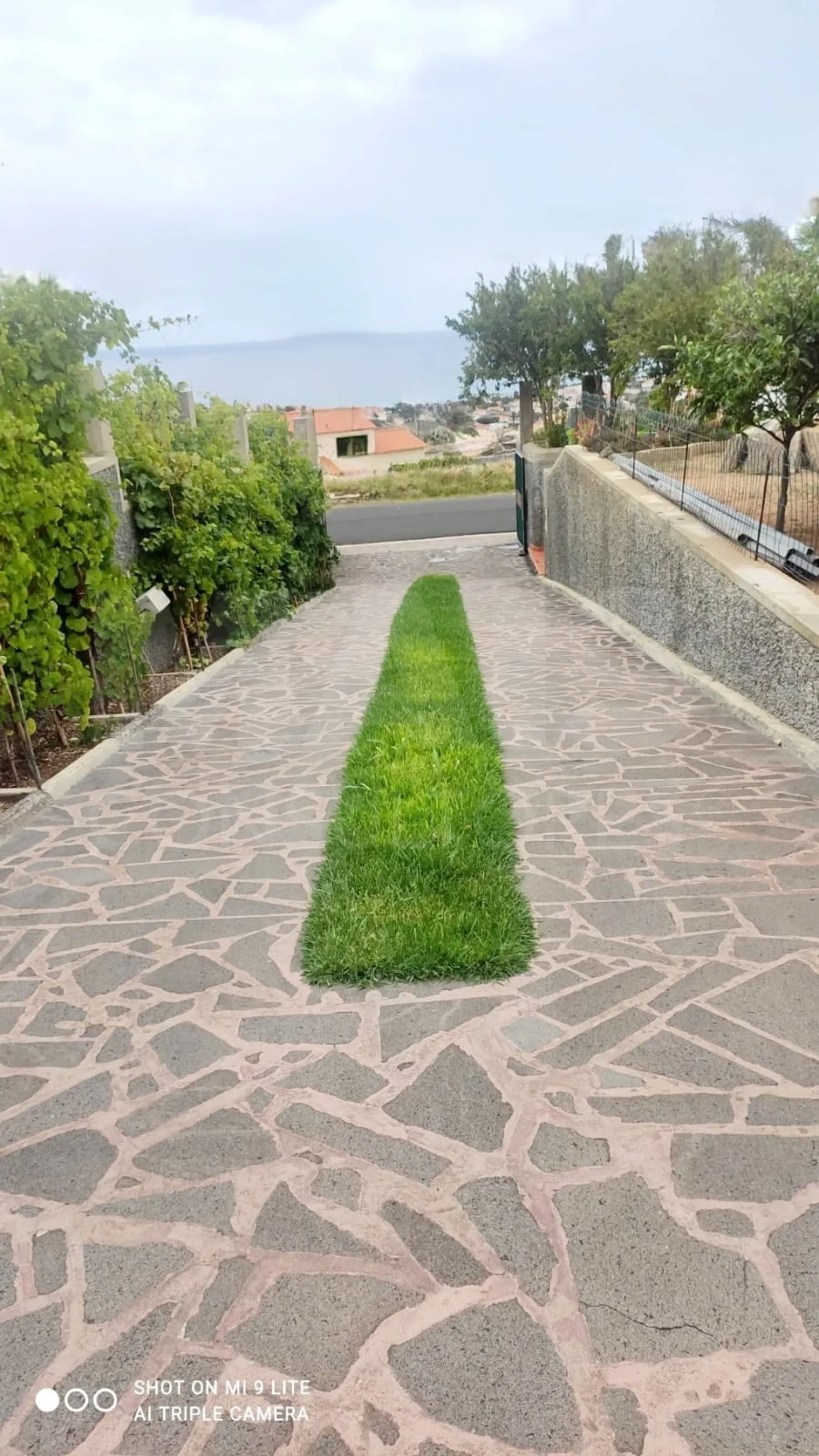 Moradia T3 para Venda em Porto Santo Foto 10