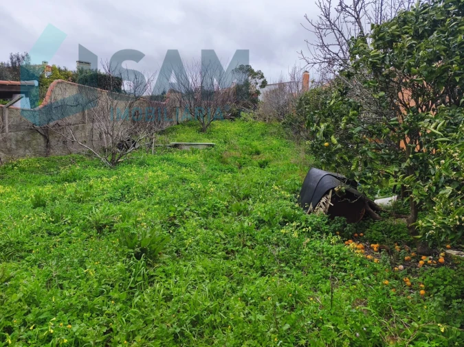 Moradia T3 para Venda em Santa Maria, São Pedro e Matacães Foto 9