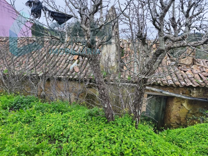 Moradia T3 para Venda em Santa Maria, São Pedro e Matacães Foto 11