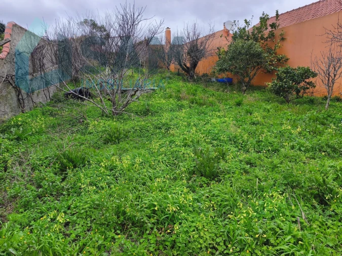 Moradia T3 para Venda em Santa Maria, São Pedro e Matacães Foto 14