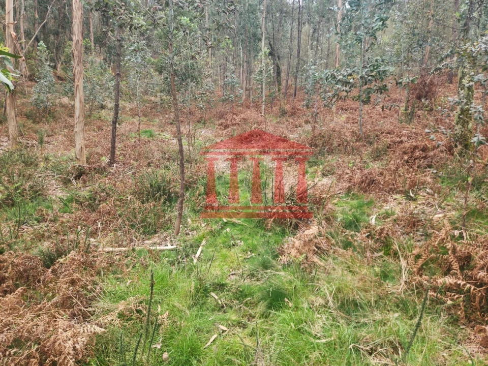 Terreno Agricola ou Rústico para Venda em Alheira e Igreja Nova Foto 1