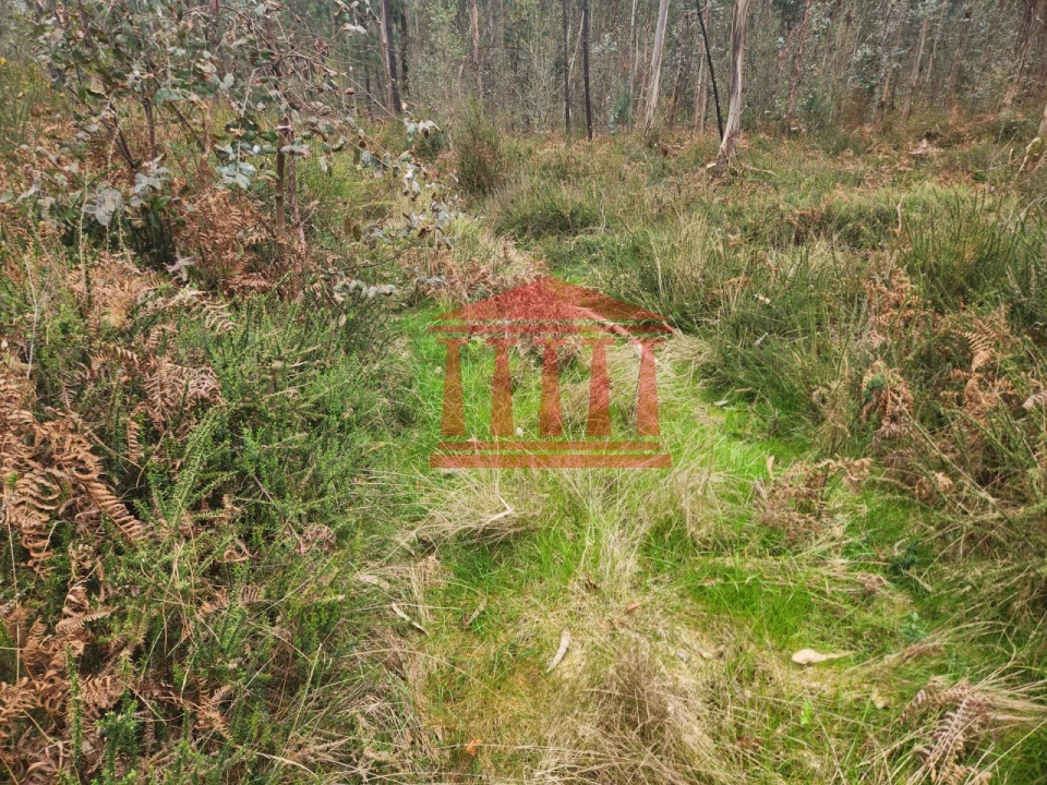 Terreno Agricola ou Rústico para Venda em Alheira e Igreja Nova Foto 3