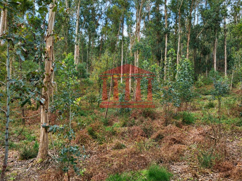 Terreno Agricola ou Rústico para Venda em Alheira e Igreja Nova Foto 3