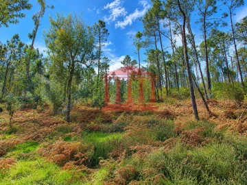 Terreno Agricola ou Rústico para Venda em Alheira e Igreja Nova