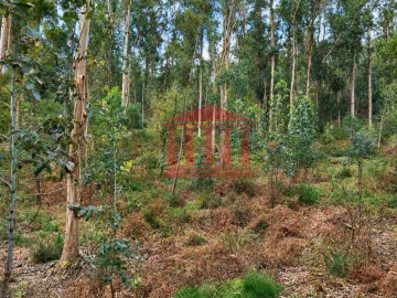 Terreno Agricola ou Rústico para Venda em Alheira e Igreja Nova