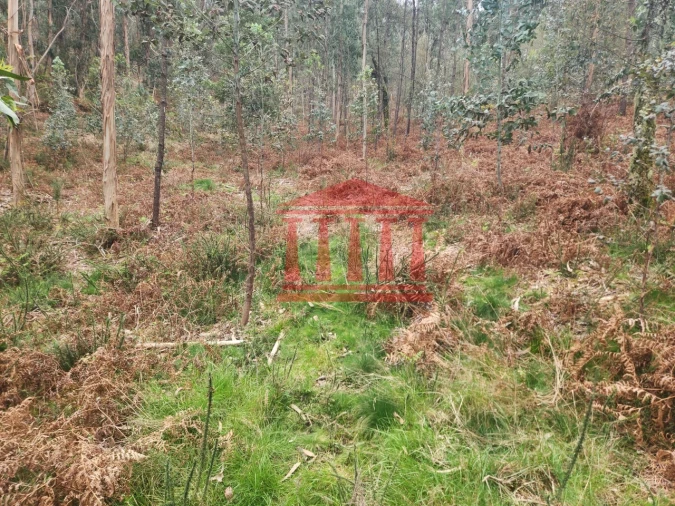 Terreno Agricola ou Rústico para Venda em Alheira e Igreja Nova Foto 1