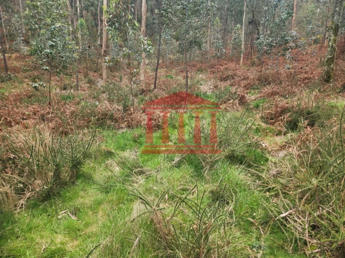 Terreno Agricola ou Rústico para Venda em Alheira e Igreja Nova Foto 4