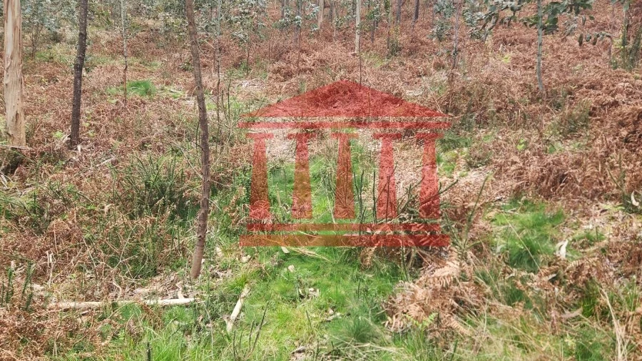 Terreno Agricola ou Rústico para Venda em Alheira e Igreja Nova
