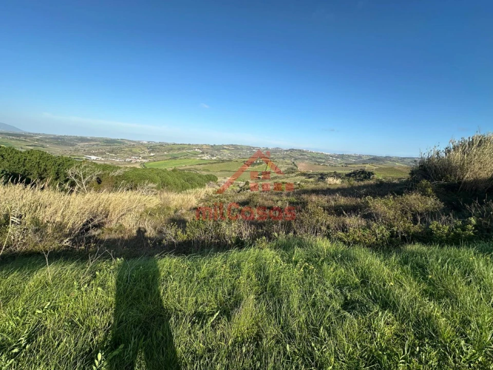 Terreno Agricola ou Rústico para Venda em Dois Portos e Runa Foto 2