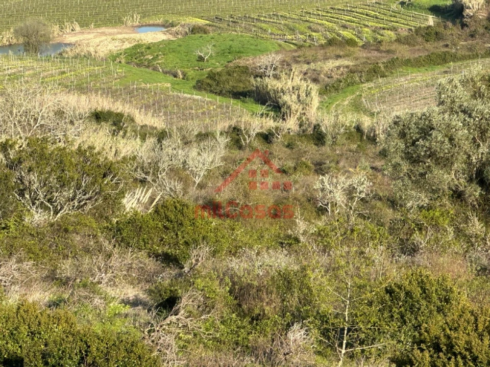 Terreno Agricola ou Rústico para Venda em Dois Portos e Runa Foto 4