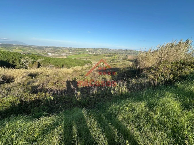 Terreno Agricola ou Rústico para Venda em Dois Portos e Runa Foto 1