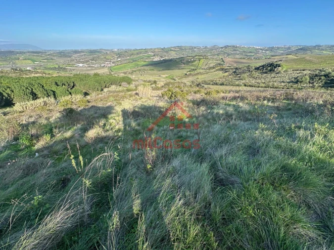 Terreno Agricola ou Rústico para Venda em Dois Portos e Runa Foto 3