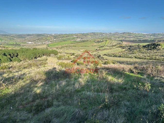 Terreno Agricola ou Rústico para Venda em Dois Portos e Runa Foto 5