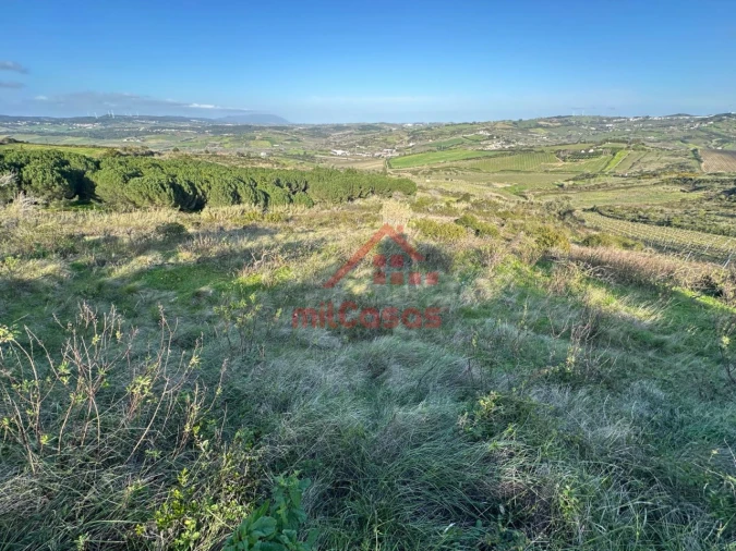 Terreno Agricola ou Rústico para Venda em Dois Portos e Runa Foto 6