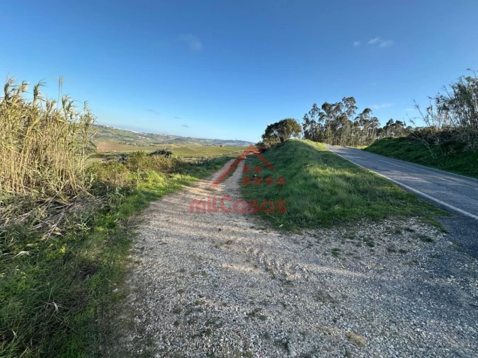 Terreno Agricola ou Rústico para Venda em Dois Portos e Runa Foto 7