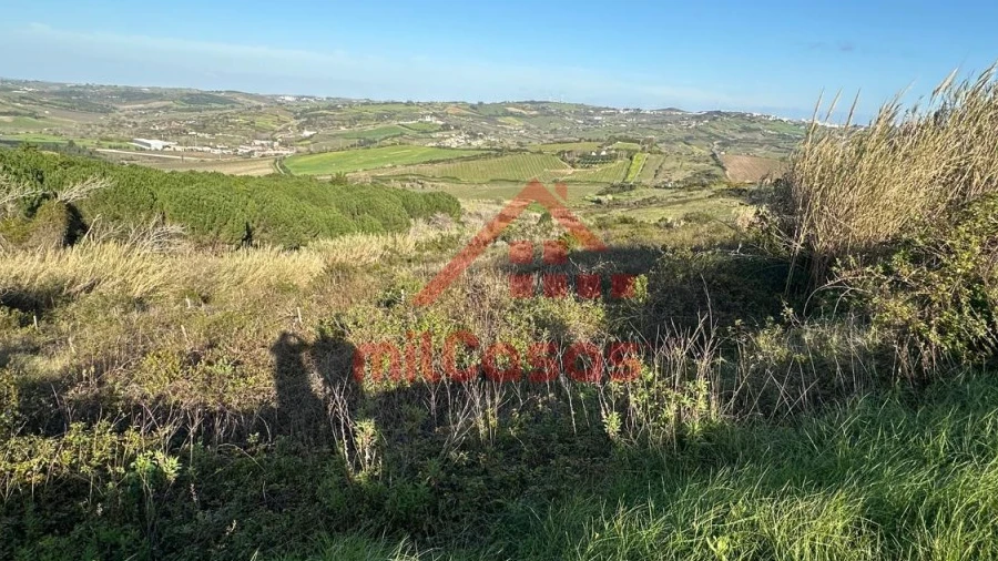 Terreno Agricola ou Rústico para Venda em Dois Portos e Runa