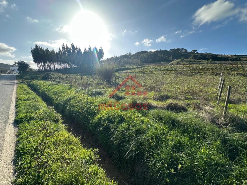 Terreno Agricola ou Rústico para Venda em Santa Maria, São Pedro e Matacães Foto 6