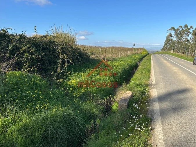 Terreno Agricola ou Rústico para Venda em Santa Maria, São Pedro e Matacães Foto 1