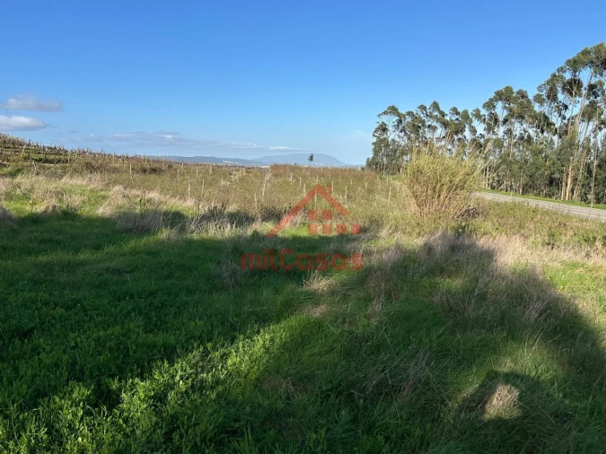 Terreno Agricola ou Rústico para Venda em Santa Maria, São Pedro e Matacães Foto 2