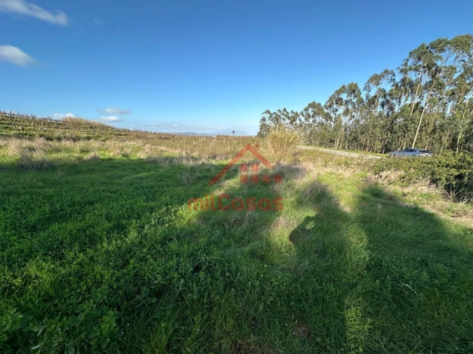 Terreno Agricola ou Rústico para Venda em Santa Maria, São Pedro e Matacães Foto 3