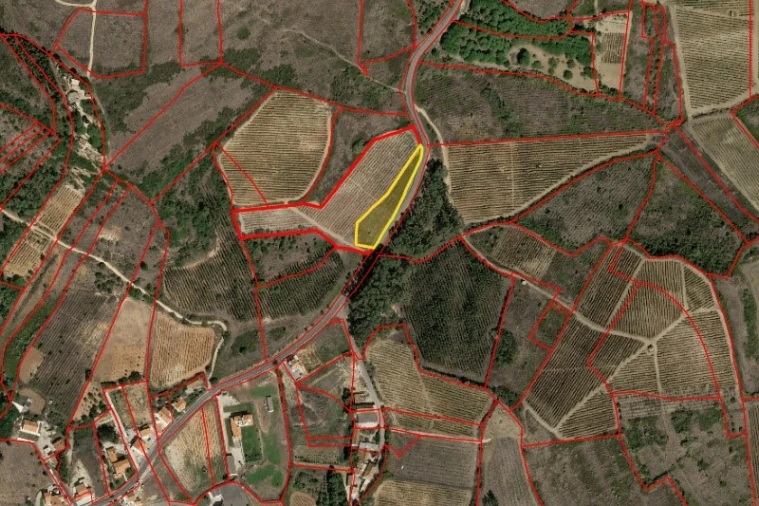 Terreno Agricola ou Rústico para Venda em Santa Maria, São Pedro e Matacães Planta 1