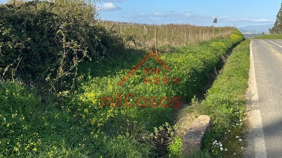 Terreno Agricola ou Rústico para Venda em Santa Maria, São Pedro e Matacães