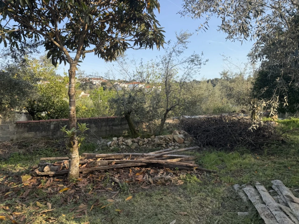 Moradia T2 para Venda em Sardoal Foto 10