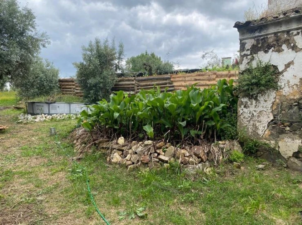 Moradia T2 para Venda em Sardoal Foto 26