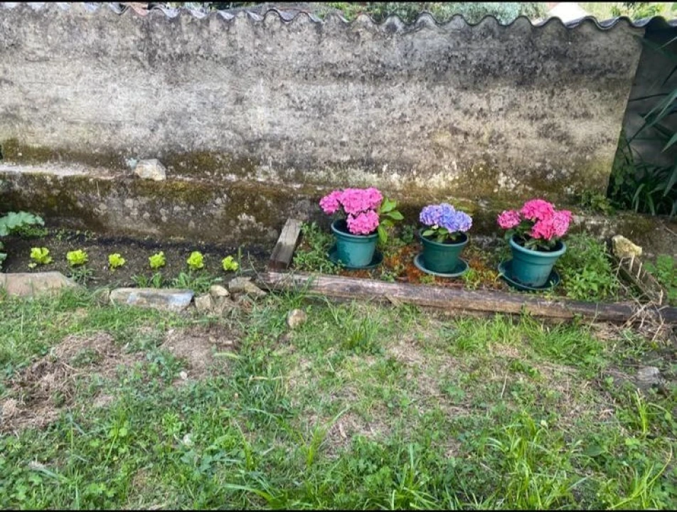 Moradia T2 para Venda em Sardoal Foto 31