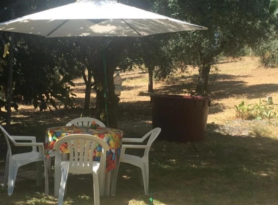 Moradia T2 para Venda em Sardoal Foto 41