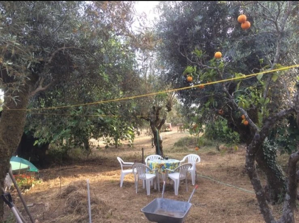 Moradia T2 para Venda em Sardoal Foto 42