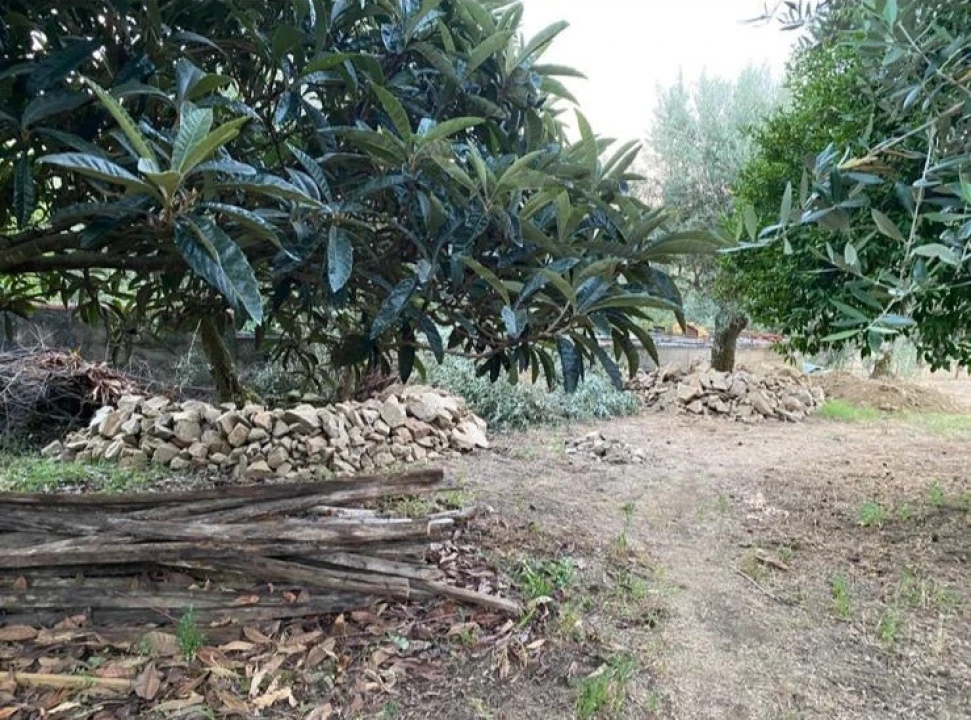 Moradia T2 para Venda em Sardoal Foto 44