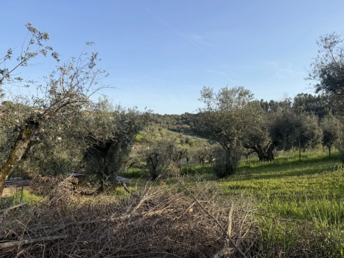 Moradia T2 para Venda em Sardoal Foto 9